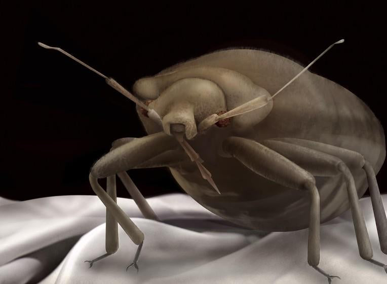 Good Night, Sleep Tight
