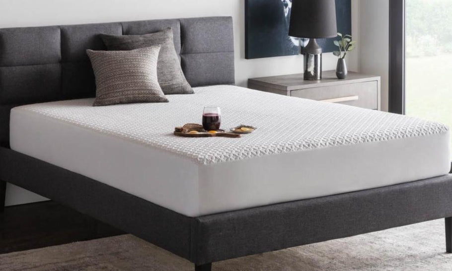 Don't Let the Bed Bugs Bite